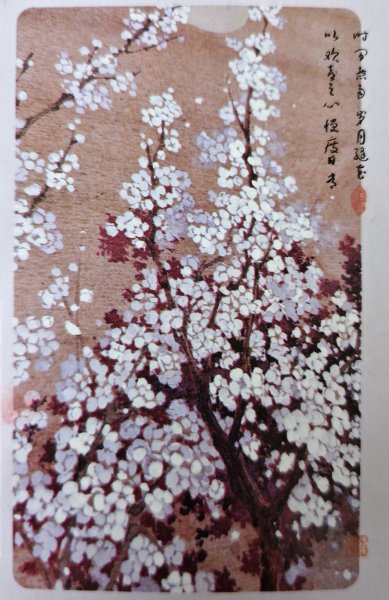 明信片照片