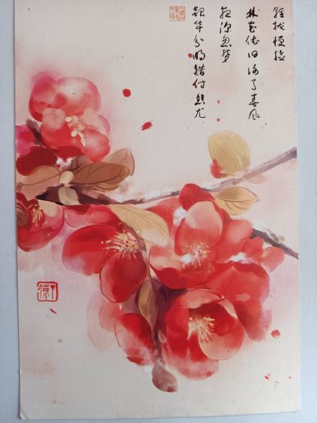 明信片照片