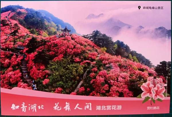 明信片照片