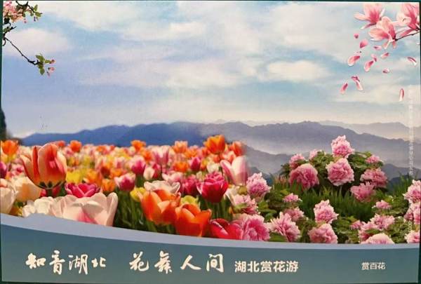 明信片照片
