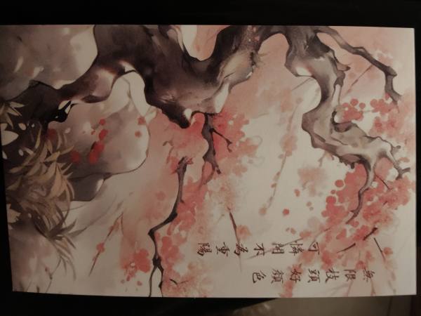 明信片照片