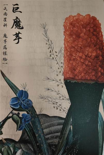 明信片照片