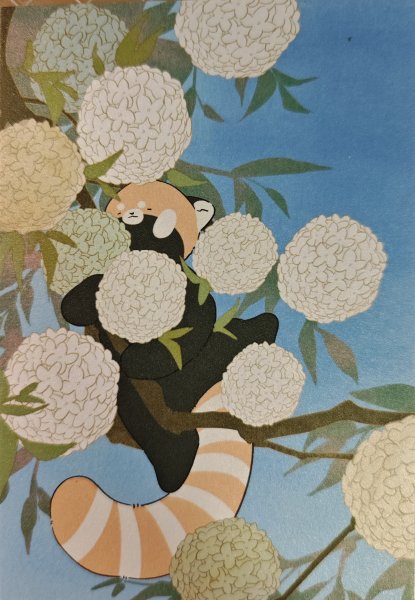 明信片照片