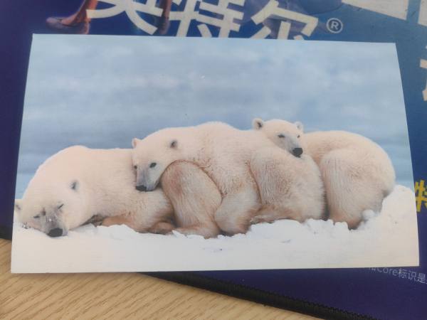 明信片照片