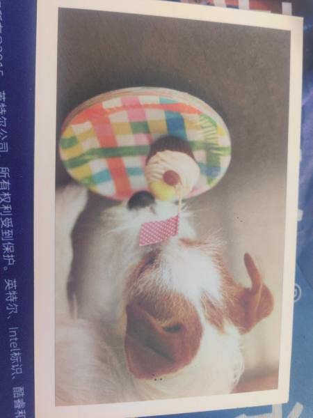 明信片照片