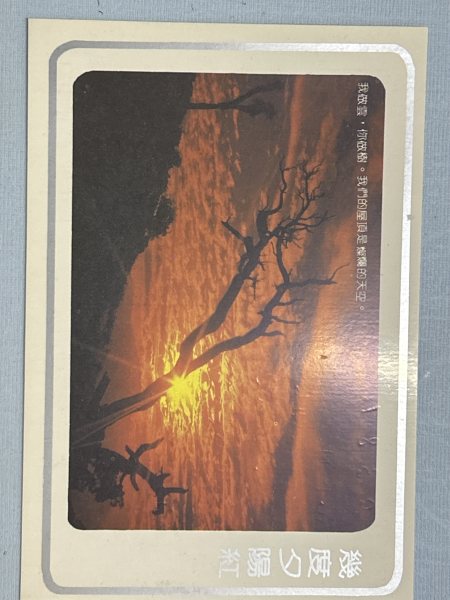明信片照片