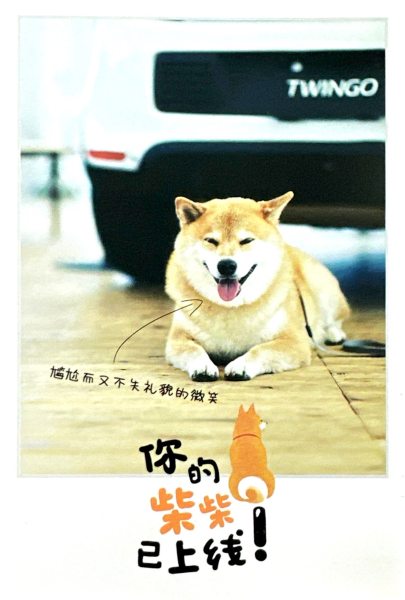 明信片照片