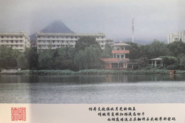 明信片照片
