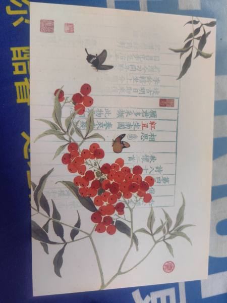明信片照片