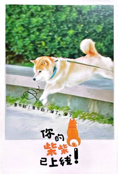 明信片照片