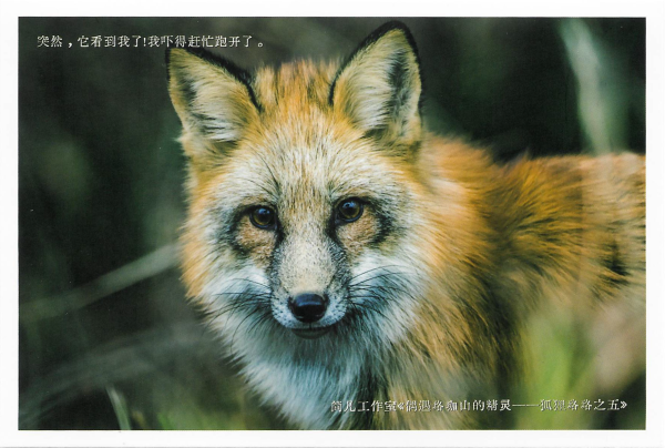 明信片照片
