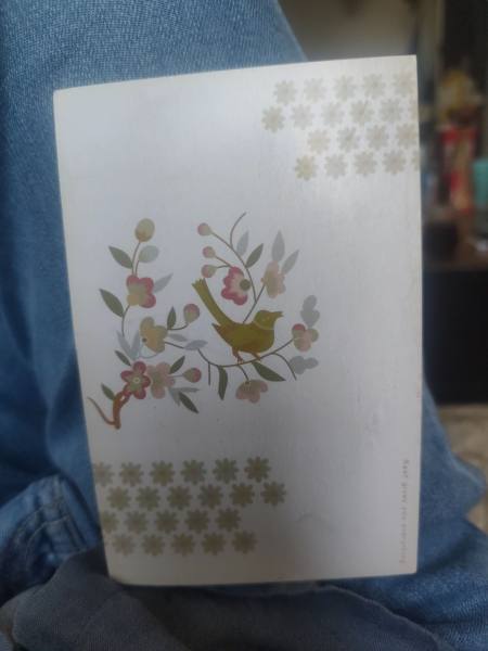 明信片照片