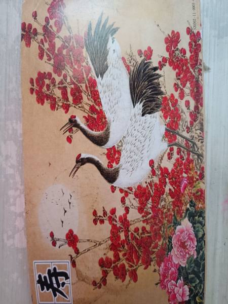 明信片照片