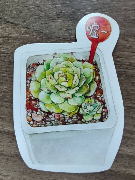 明信片照片