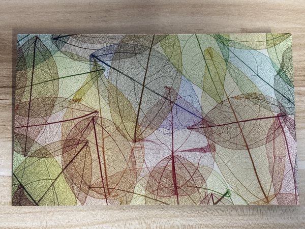 明信片照片