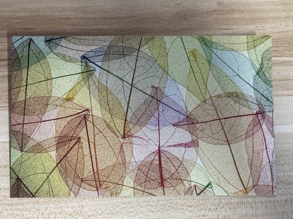 明信片照片