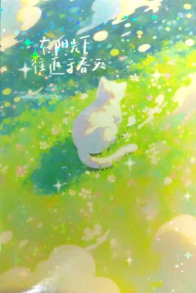 明信片照片