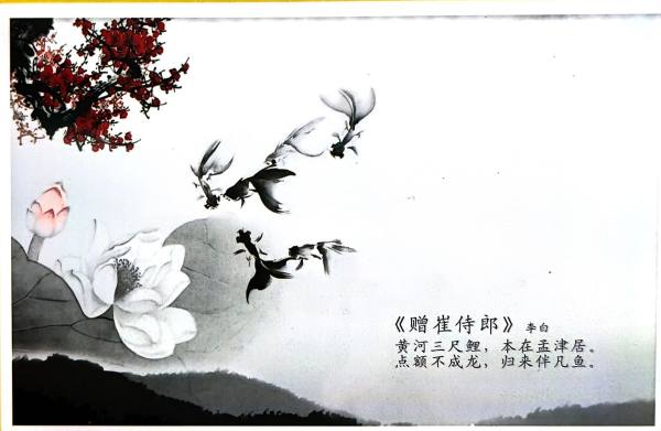明信片照片