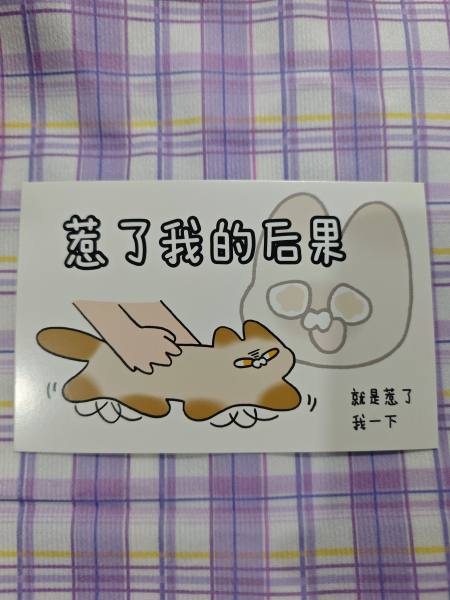 明信片照片