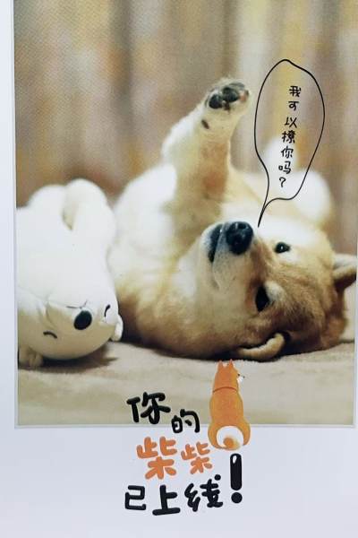 明信片照片