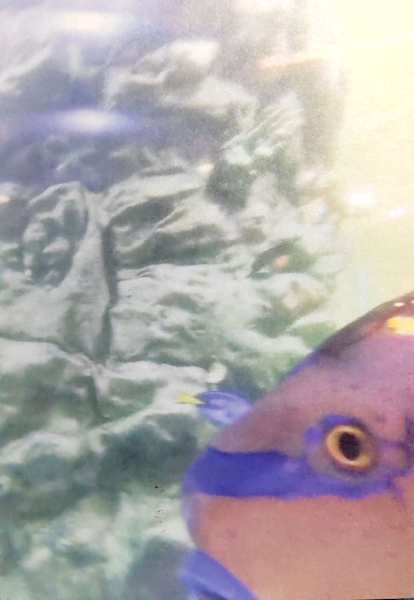 明信片照片