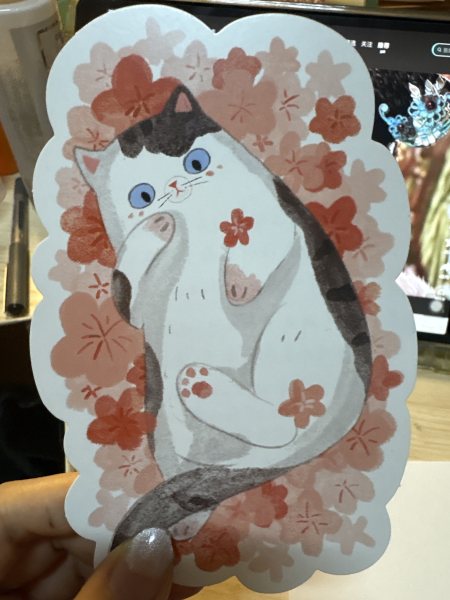 明信片照片