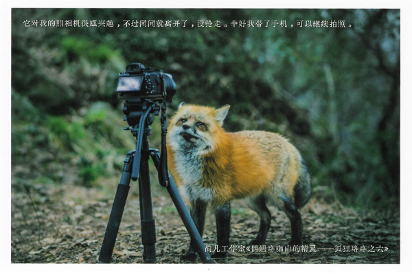 明信片照片