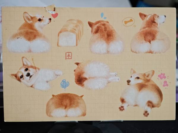 明信片照片