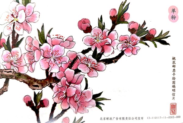明信片照片