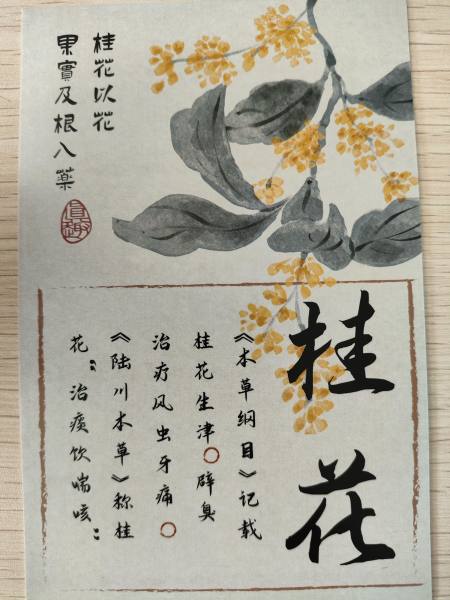 明信片照片