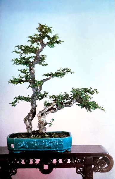 明信片照片