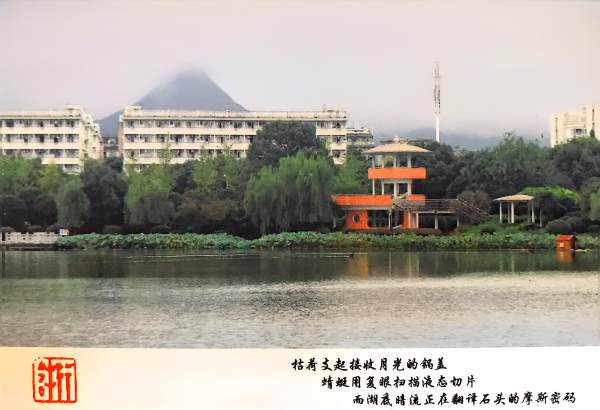 明信片照片