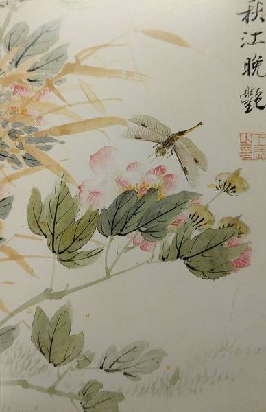 明信片照片