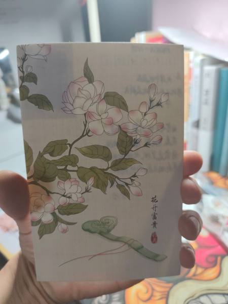 明信片照片