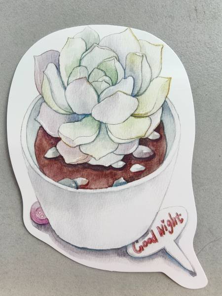 明信片照片