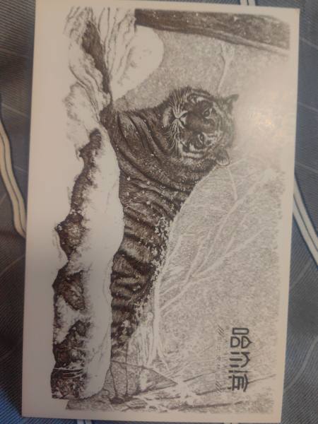 明信片照片