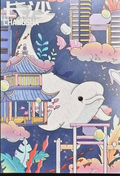 明信片照片