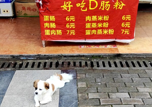 明信片照片