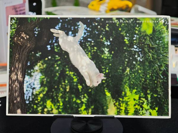 明信片照片