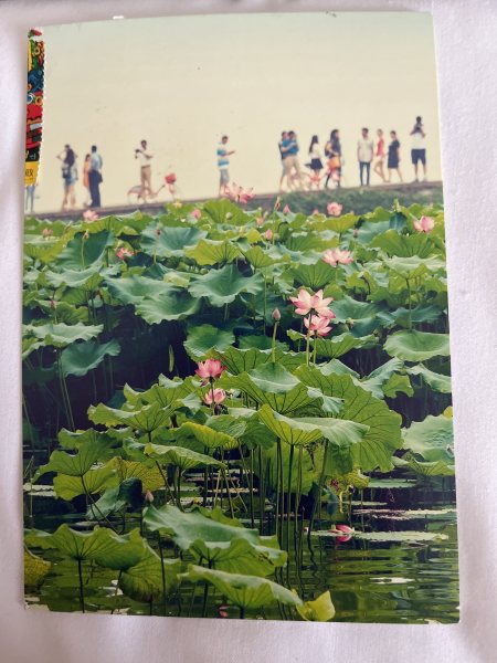 明信片照片