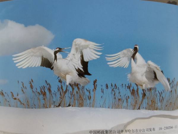 明信片照片