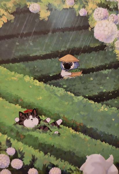 明信片照片