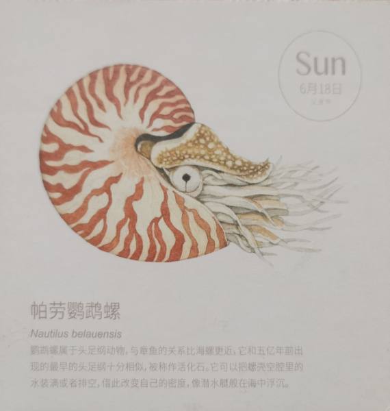 明信片照片