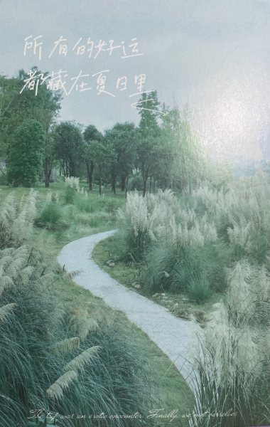 明信片照片