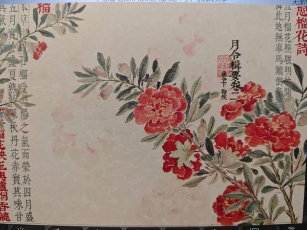 明信片照片