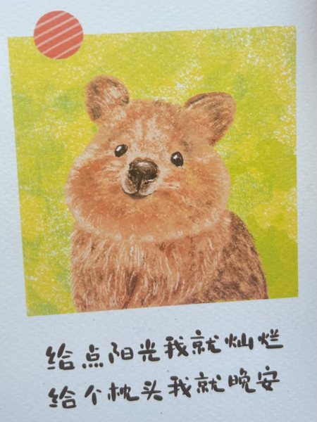 明信片照片