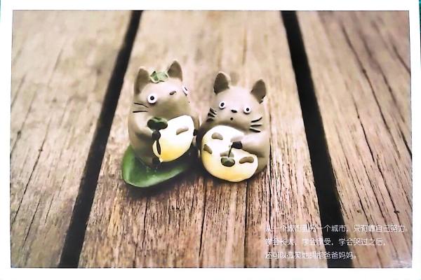 明信片照片