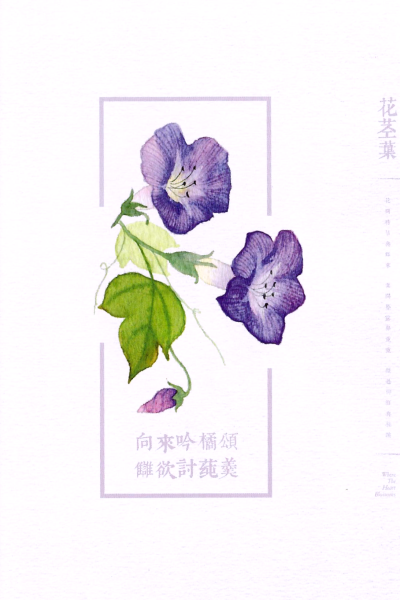 明信片照片