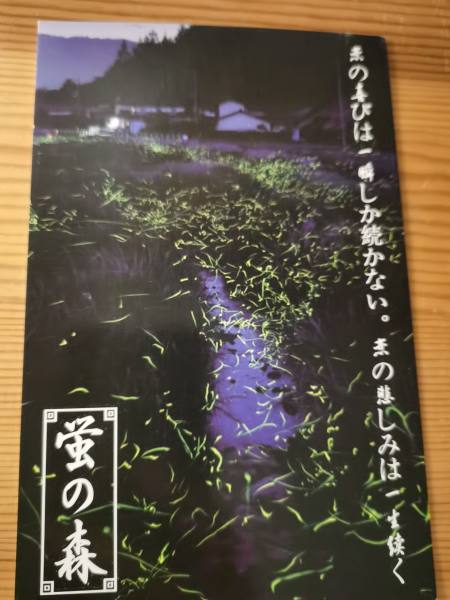 明信片照片