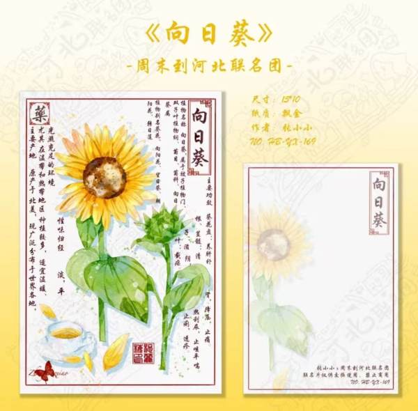 明信片照片